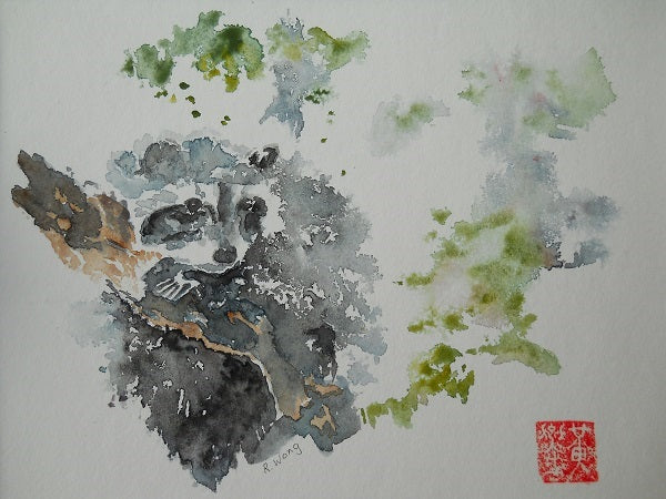 Richard Wong Watercolour Greeting Cards, Raccoon 