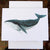 Saylor Made Greeting Card, Humpback Whale