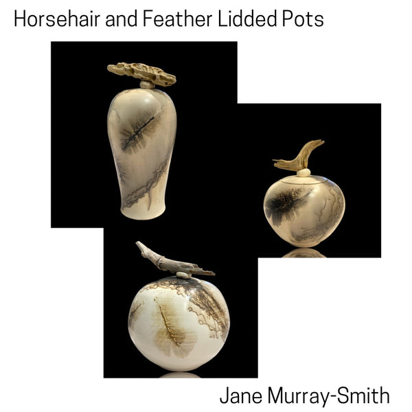 Horsehair and Feather Lidded Decorative Pots by Jane Murray Smith