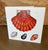 Greeting Cards by Nicola North, Shells